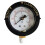 Manometro compatto 0-60 PSI 190058, ricambio per Pentair e Hayward Pool 1