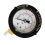 Manometro compatto 0-60 PSI 190058, ricambio per Pentair e Hayward Pool 4