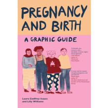 Pregnancy and Birth A Graphic Guide by Laura GodfreyIsaacs Paperback B