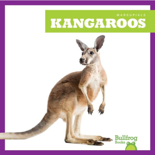 Kangaroos by Natalie Deniston Paperback Book