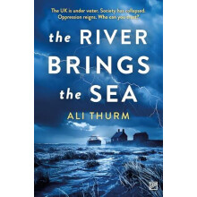 River Brings the Sea by Ali Thurm Paperback Book