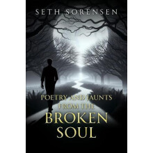 Poetry and Jaunts from the Broken Soul by Seth Sorensen Paperback Book