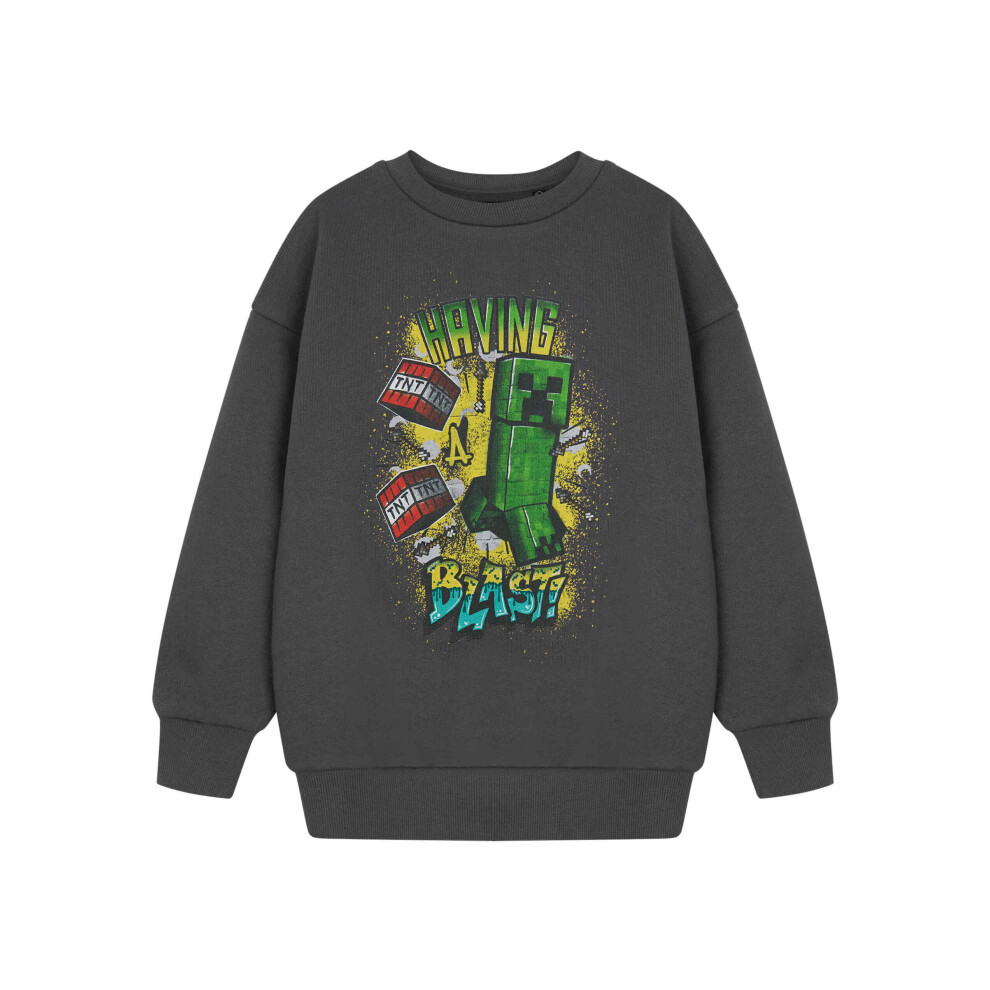 Minecraft (9-10 Years) Sweatshirt (Boys Grey)