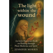 light within the wound by Jennifer Morris Paperback Book