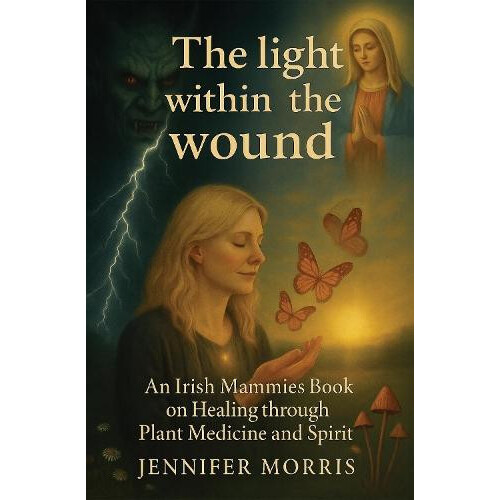 light within the wound by Jennifer Morris Paperback Book