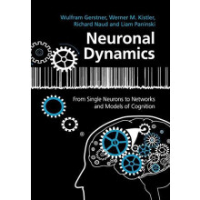 Neuronal Dynamics by Wulfram Gerstner Paperback Book