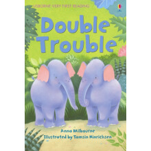 Double Trouble by Anna Milbourne Hardcover Book
