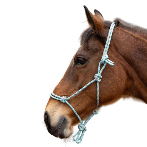 (Cob/Full, Green/Multicoloured) Hy Rope Halter 2