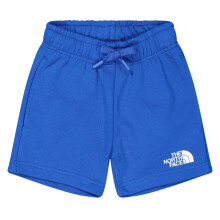 (XS S, Blue) The North Face Mens Cotton Blend Shorts