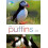 RSPB Spotlight Puffins by Euan Dunn Paperback Book 1