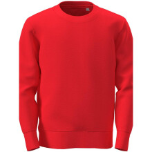 (5-6 Years, Scarlet Red) Stedman Childrens/Kids Classic Sweatshirt