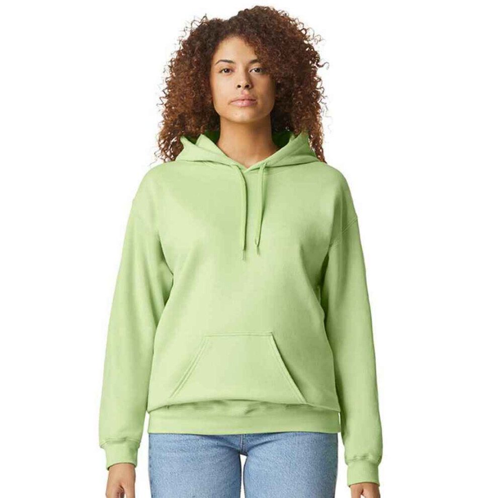 Gildan (L, Pistachio) Unisex Adult Softstyle Fleece Midweight Hoodie