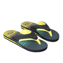 (3 UK, Dark Teal) Animal Childrens/Kids Jekyl Recycled Flip Flops