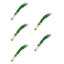 5Pièces Décor Oignons Faux En Vert Pour Affichage Cuisine
