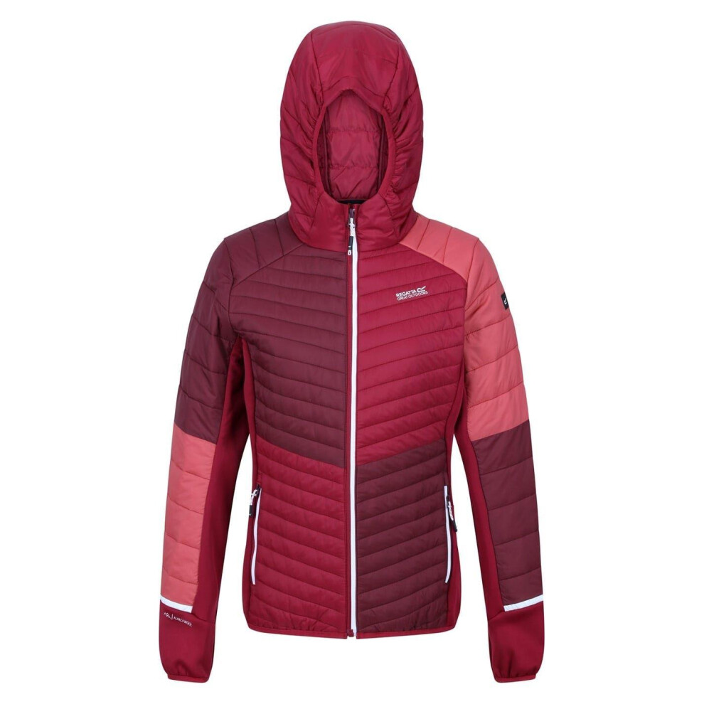 Regatta (12 Uk, Burgundy/Rumba Red) Womens/Ladies Trutton Puffer Jacket
