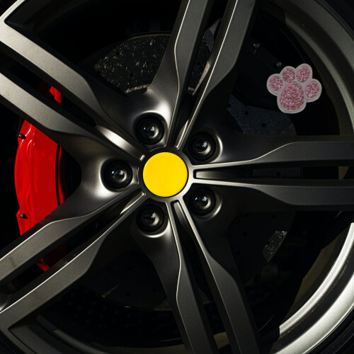 12Pièces Bouchons Spiracle Rose Stylés, Protections Universelles Auto 2