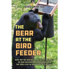 The Bear at the Bird Feeder Why Were Seeing More Wild Animals in Our N