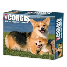 Corgis 2026 Box Calendar by Willow Creek Press Other Book