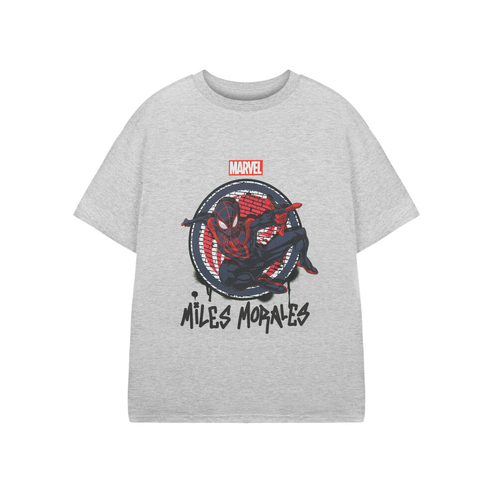 Marvel (7-8 Years) Spiderman Short Sleeved T-Shirt (Boys Grey)