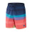 Speedo Speedo Mens Gradient Print Swim Shorts 1