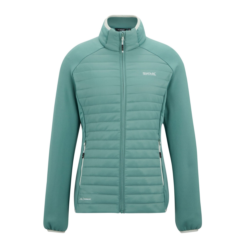 Regatta (8 Uk, Ivy Moss) Womens/Ladies Clumber Hybrid Jacket