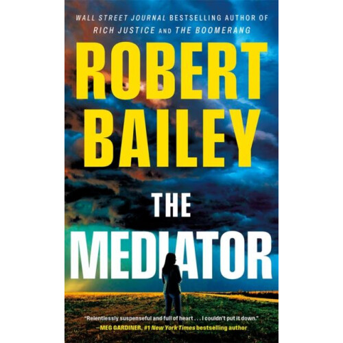 Mediator by Robert Bailey Paperback Book