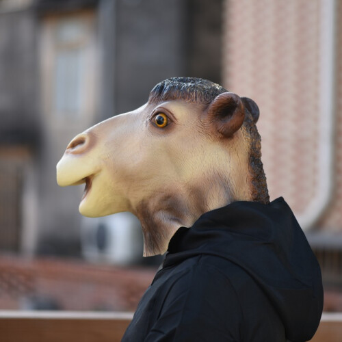 Kamel-Tierkopfbedeckung, Latexmaske 1