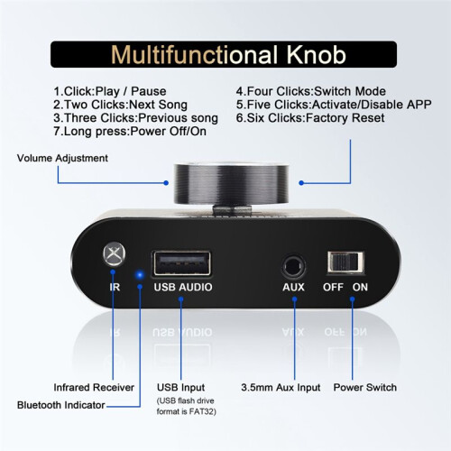 DAJUNGUO 2.0 Channel 20W+20W  Amp with Remote Control Function,Supports /USB/AUX Input 2