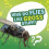 Why Do Flies Like Gross Stuff by Ellen Labrecque Hardcover Book 1