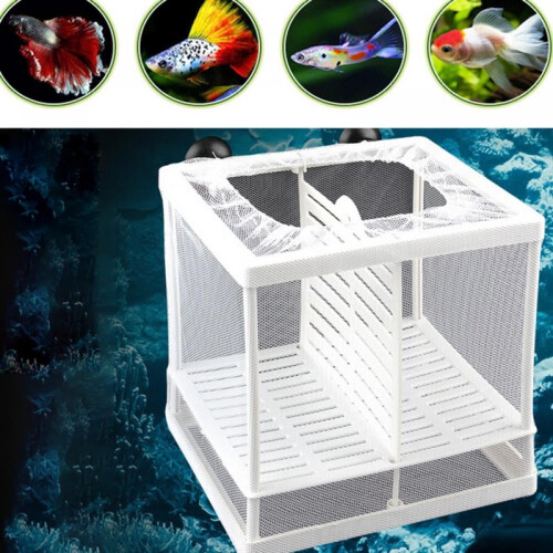 Rede de isolamento para incubação e reprodução de peixes