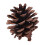 Έως και 70% έκπτωση σε κώνους πεύκων Karymi Christmas Natives Color, συμβατούς με κρεμαστά 2