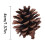 Έως και 70% έκπτωση σε κώνους πεύκων Karymi Christmas Natives Color, συμβατούς με κρεμαστά 3