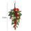 Festive String Lights with Teardrop Swag and Red Berries 3