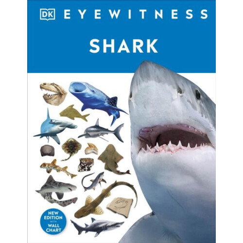 Shark by DK Hardcover Book