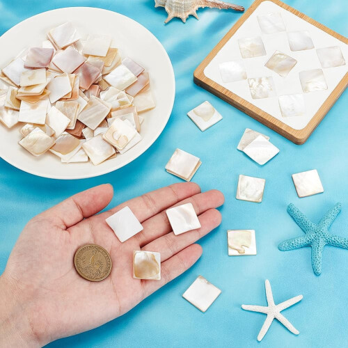 Shell Mosaic Tiles for DIY Art White Square 360 pcs 2