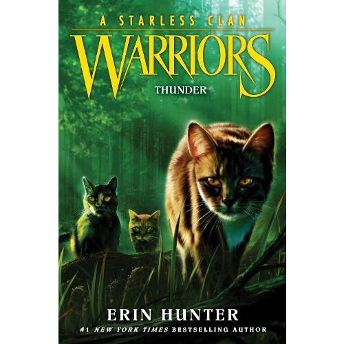 Warriors A Starless Clan 4 Thunder by Erin Hunter Paperback Book