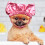 Pet Shower Cap for Ears with Adjustable Strap 4