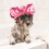 Pet Shower Cap for Ears with Adjustable Strap 5