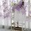 Peony Sheer Curtain Purple Voile 1 Panel 8