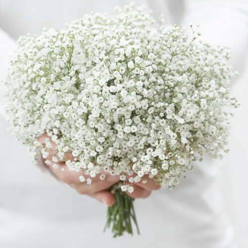 Artificial Baby's Breath Silk Bouquets 10-Pack 2