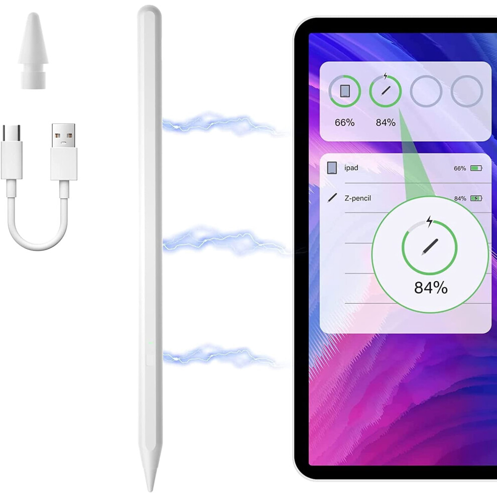 Stylus Pen For Ipad 2Nd Gen Type C Magnetic Tilt 917087535557