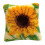 Latch Hook Flower Rug Kit with Canvas Tool Yarn 8