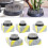 GYZEE Στρογγυλή βάση για Ikebana Kenzan Flower Stacking Tool με σταθερό εργαλείο για λουλούδια 3
