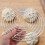 Stainless Steel Steamer Rack for Eggs 2 pcs 3