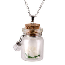 Yuehao Women's Glow-in-the-Dark Flower Glass Wishing Bottle