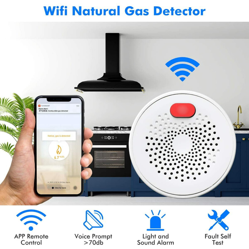 Wifi Gas Leak Detector For Natural Gas And Propane 917087550260