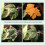 Leaveforme betta fish leaf pad hammock 8 pcs 3
