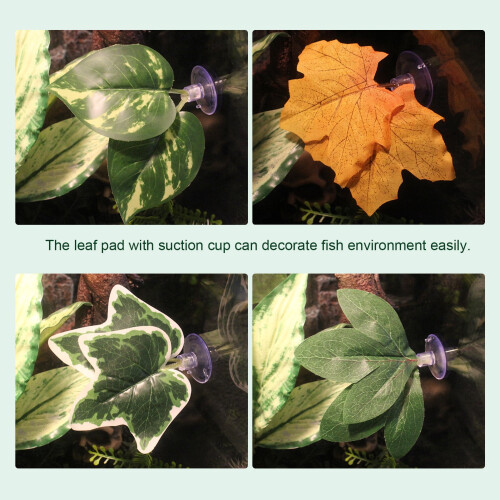 Leaveforme betta fish leaf pad hammock 8 pcs 2