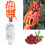 Portable fruit picker catcher for gardening, 1 piece 2