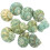 Aquarium conch decorations 10 pcs 1